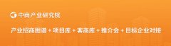 下沉市场笼盖率第一2025年3月中国磷酸铁锂动力电
