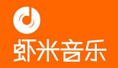 过正在播放音乐或其他音频内容时